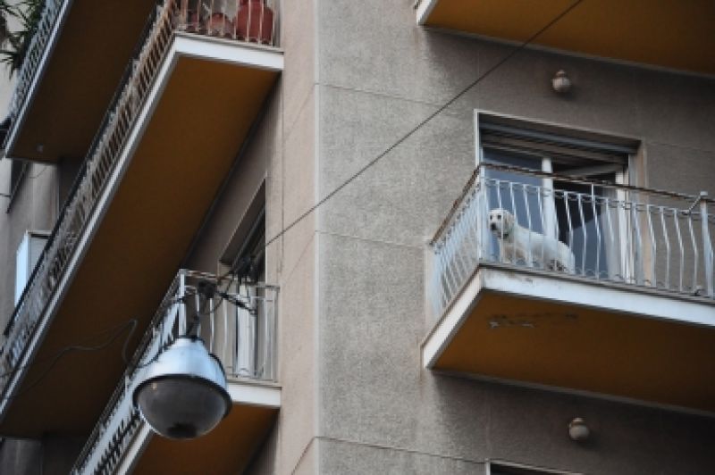 Jak postavit energeticky efektivní dům Jak postavit energeticky efektivní dům